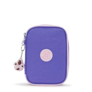 100 Pens Case
