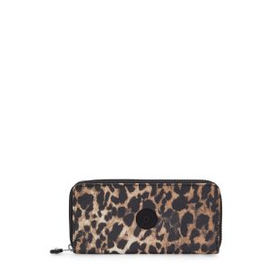 Money World Printed Wallet