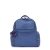 Classic Indigo