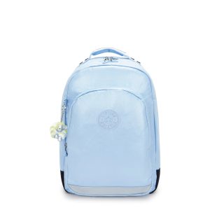 Classroom 17 Metallic Laptop Backpack