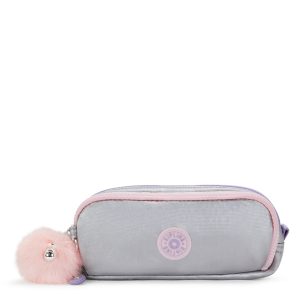 Gitroy Metallic Pencil Case