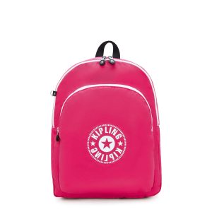 Curtis Large 17 Laptop Backpack