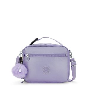 Ermy Metallic Lunch Bag