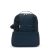 True Blue Tonal