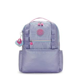 Dyana Metallic Modular 17 Laptop Backpack